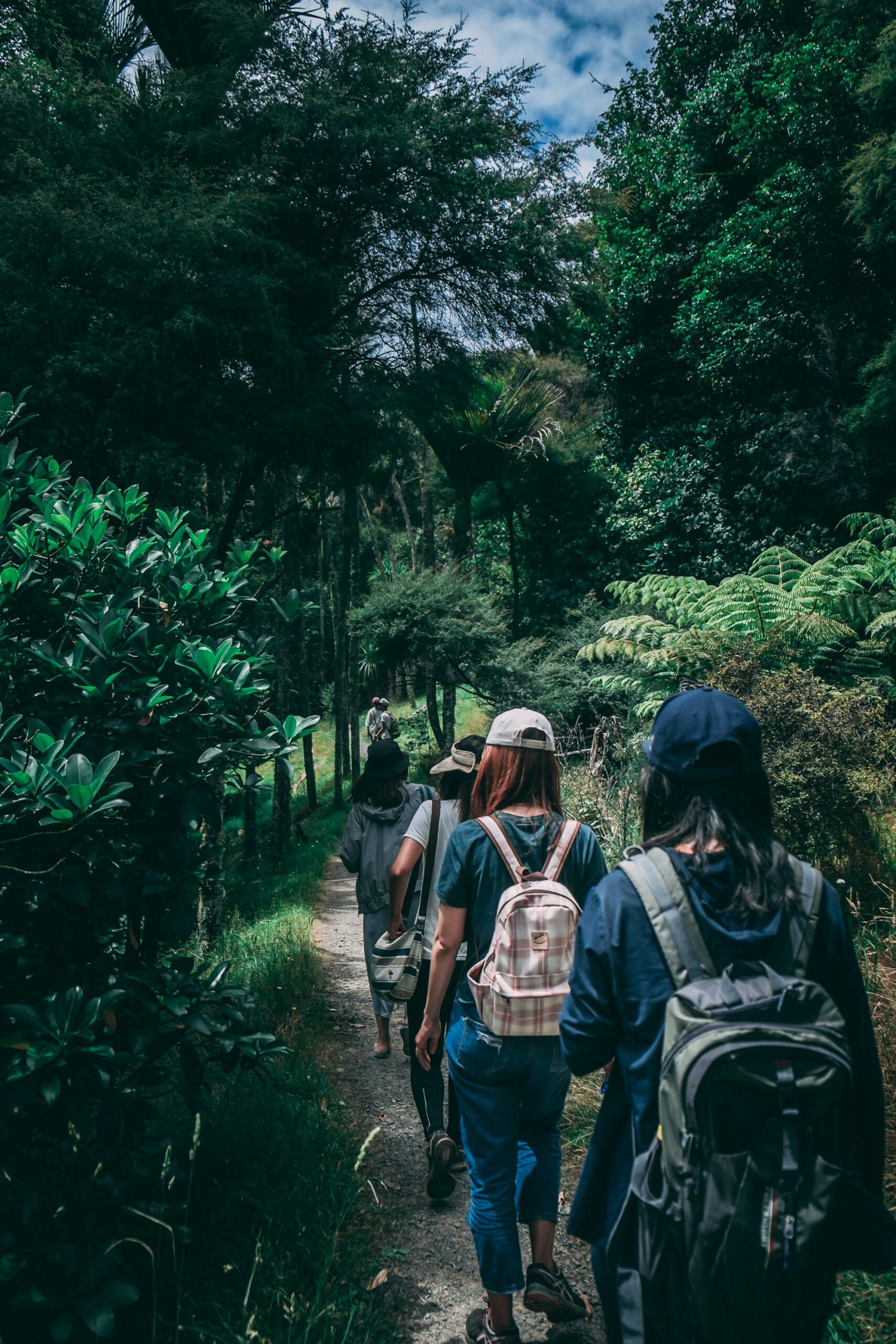 image d'un groupe qui fait une randonnée en forêt 